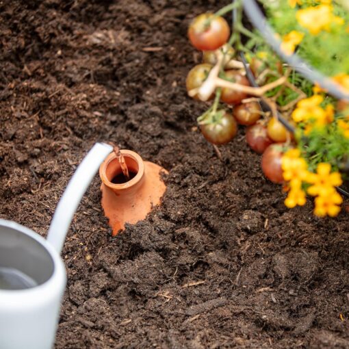 Back to the Roots Self-Watering Olla Pot - 700mL Terracotta - 1 Week Precision Watering - Image 4