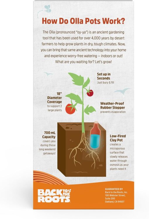 Back to the Roots Self-Watering Olla Pot - 700mL Terracotta - 1 Week Precision Watering - Image 3