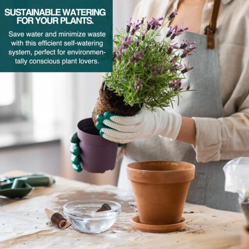 Blumat Classic Plant Watering Stakes (6-Pack) - Self Watering for Potted Plants - Automatic Slow Release Irrigation - Indoor & Outdoor Use - Image 3
