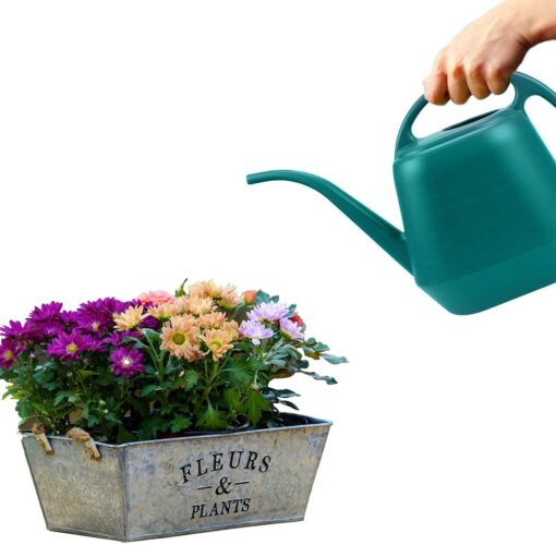 Fasmov 1-Gallon Green Plastic Watering Can - Durable Garden Water Can for Indoor & Outdoor Plants - Image 4