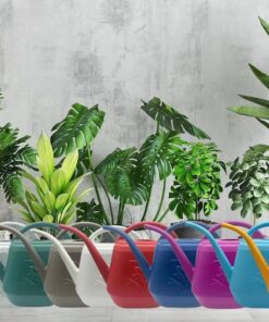 Green Plastic Watering Can - 1/2 Gallon - Small Garden Waterer