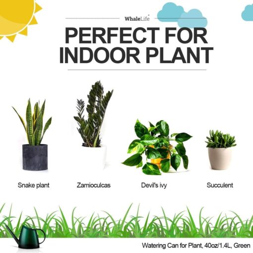 WhaleLife Watering Can Indoor Plants - 1.4L Green - Long Spout Bonsai Watering Can - Image 2